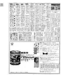 祝い日新聞専用台紙付き贈答用