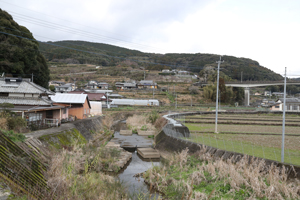 繁子さんの父の古里には今も田園風景が広がっている＝諫早市高来町