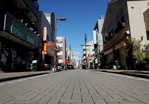 繁子さんが住んでいた江戸川区逆井の商店街があった通り。今も花屋、食品店、美容室などが並ぶが、戦時中は映画館や芝居小屋もあり、にぎやかだったという＝東京都内
